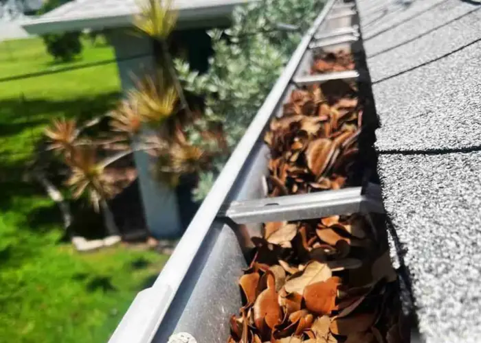 Gutter Cleaning Apopka FL home page