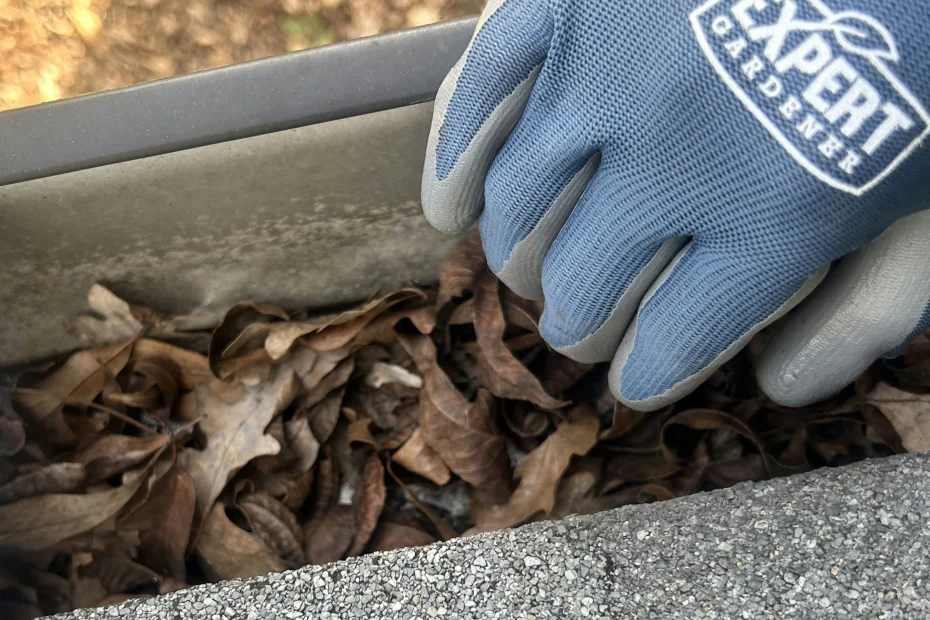 Apopka Gutter Cleaning
