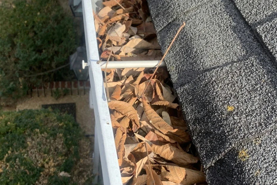 Apopka Gutter Cleaning