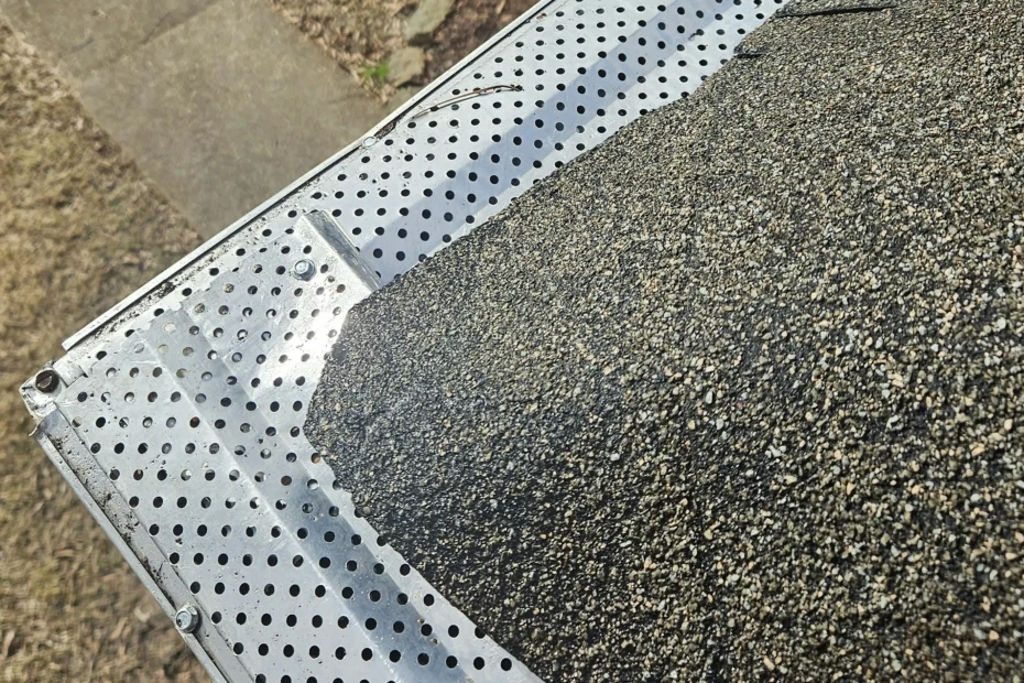 Apopka Gutter Cleaning