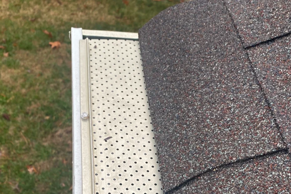Apopka Gutter Cleaning